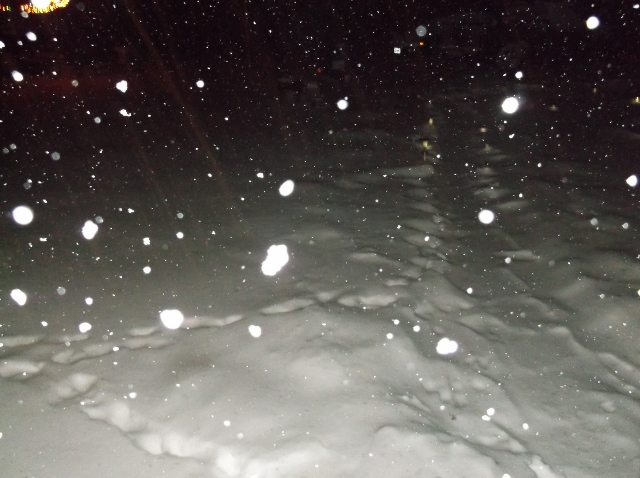 snow 2-12-14 a 001 (640x478).jpg